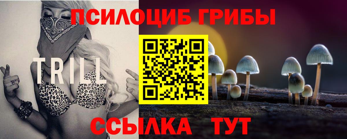 Фурманов  Псилоцибиновые грибы ЛСД  Галлюциногенные грибы MAGIC MUSHROOMS  Вход с VPN 